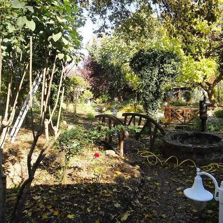 Oase In Mitten Der Stadt