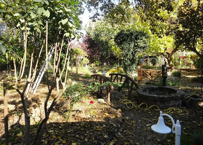 Oase In Mitten Der Stadt